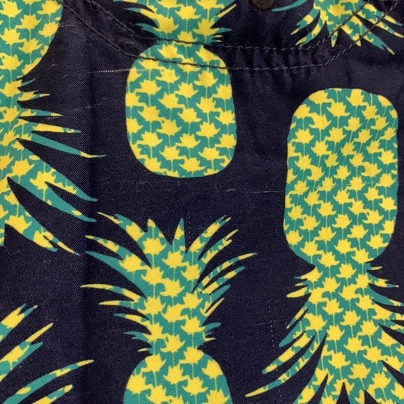 Tommy Bahama Swim Trunks boys size large pineapple print. Multicolor. - Picture 10 of 11